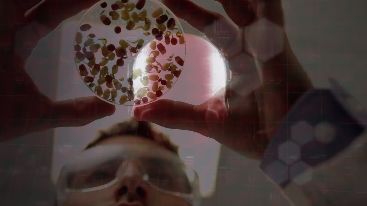 인간의 두개골이 회전하고 과학자 의사가 씨 ⁇ 을 담은 유리 용기를 들고 있습니다. 코로나19가 퍼지고 있습니다.