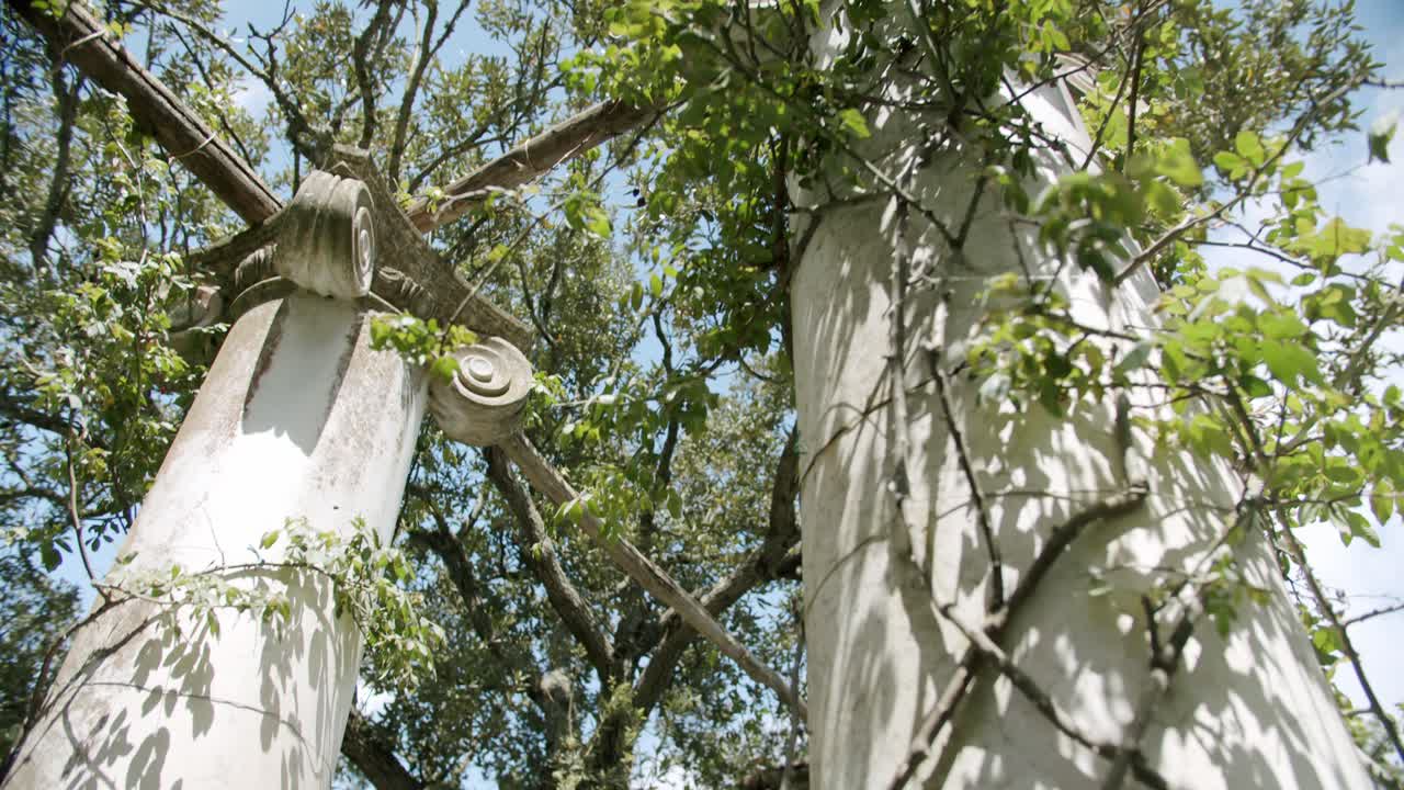 봄의 화창한 아침 동안 카프리 섬의 빌라 리시스에 있는 고대 기둥 위에 있는 일부 식물의 세부 사진