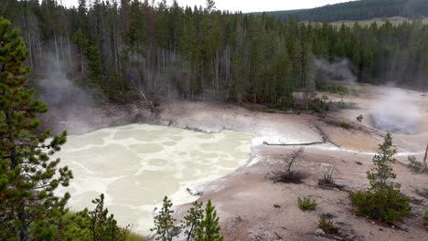 long shot of geothermal hot springs in the mud volcano area of yellowstone national park