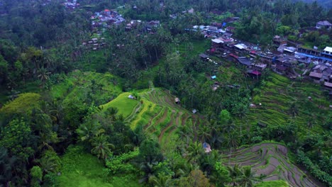 Tegallalang-Reisfeld-In-Der-Nähe-Von-Ubud-Im-Zentrum-Von-Bali,-Indonesien