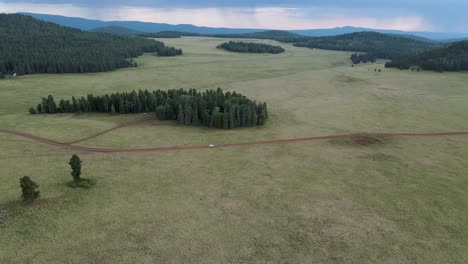 Luftaufnahme-Eines-Autos,-Das-Auf-Einer-Unbefestigten-Straße-In-Einem-Campinggebiet-Von-Arzona-Mit-Schönen-Kiefern-Fährt