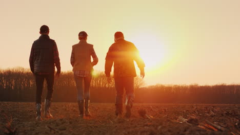 Tres-Agricultores-Continúan-En-Un-Campo-Arado-Al-Atardecer-Joven-Equipo-De-Agricultores-Video-4k