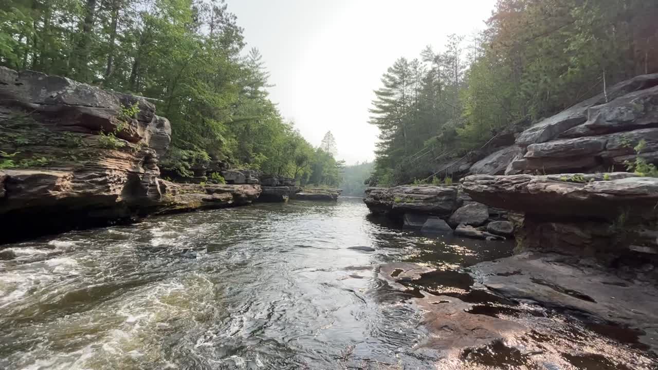 Landscape of calm lake in the forest