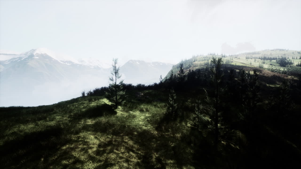 나무가 있는 웅장한 산