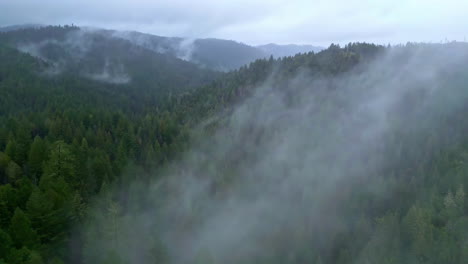 slow motion misty shot of foggy green deep mountain peak stormy landscape sun rays coming through, aerial drone top view