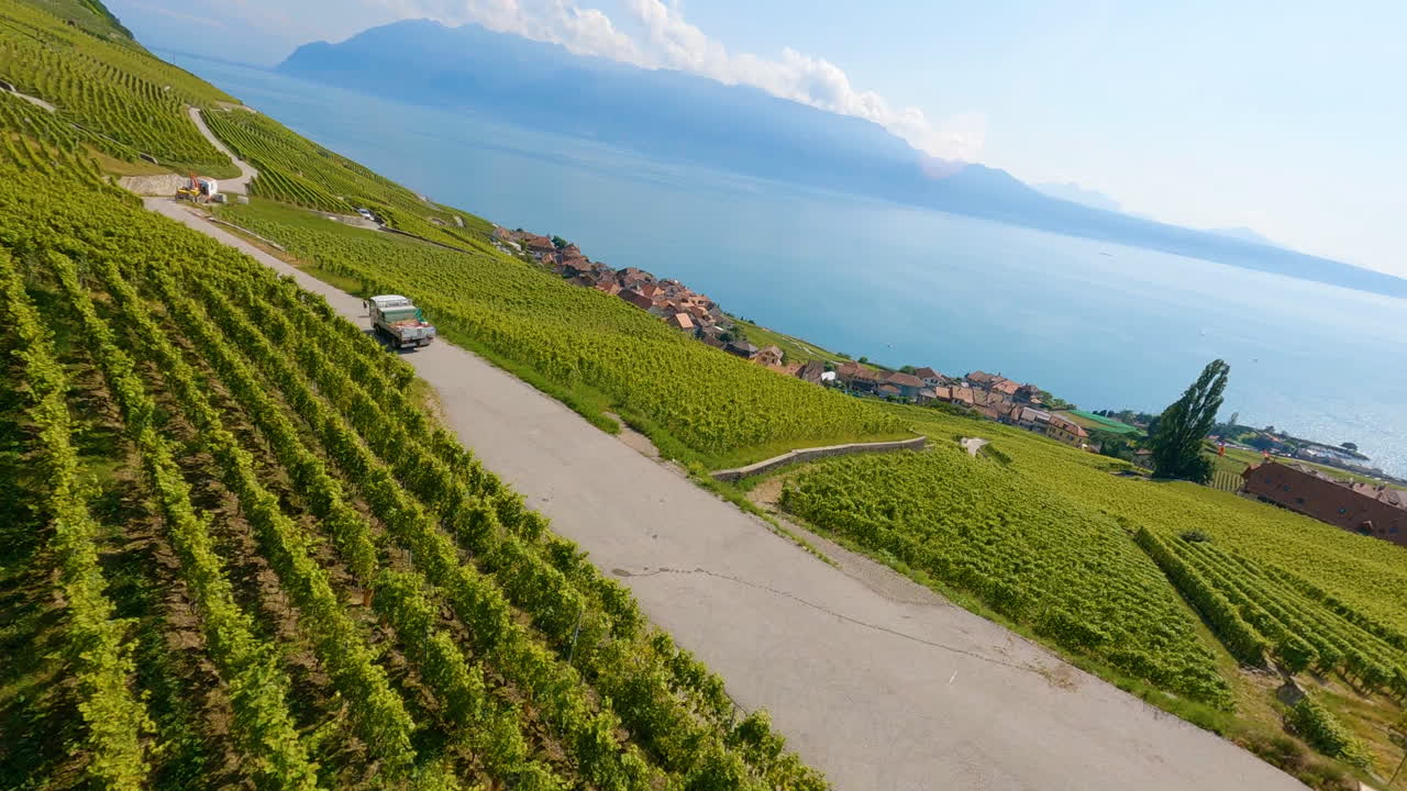 viñedos de lavaux cerca de epesses en vaud, suiza, con vistas panorámicas del lago leman y los alpes suizos al fondo.