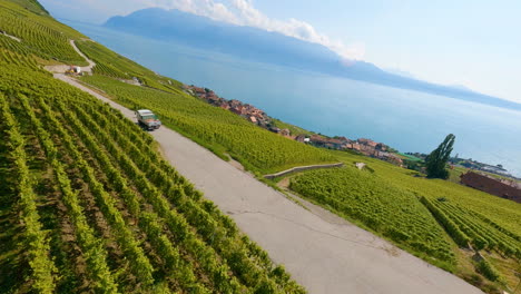 Viñedos-De-Lavaux-Cerca-De-Epesses-En-Vaud,-Suiza-Con-Vista-Panorámica-Del-Lago-Leman-Y-Los-Alpes-Suizos-En-Segundo-Plano