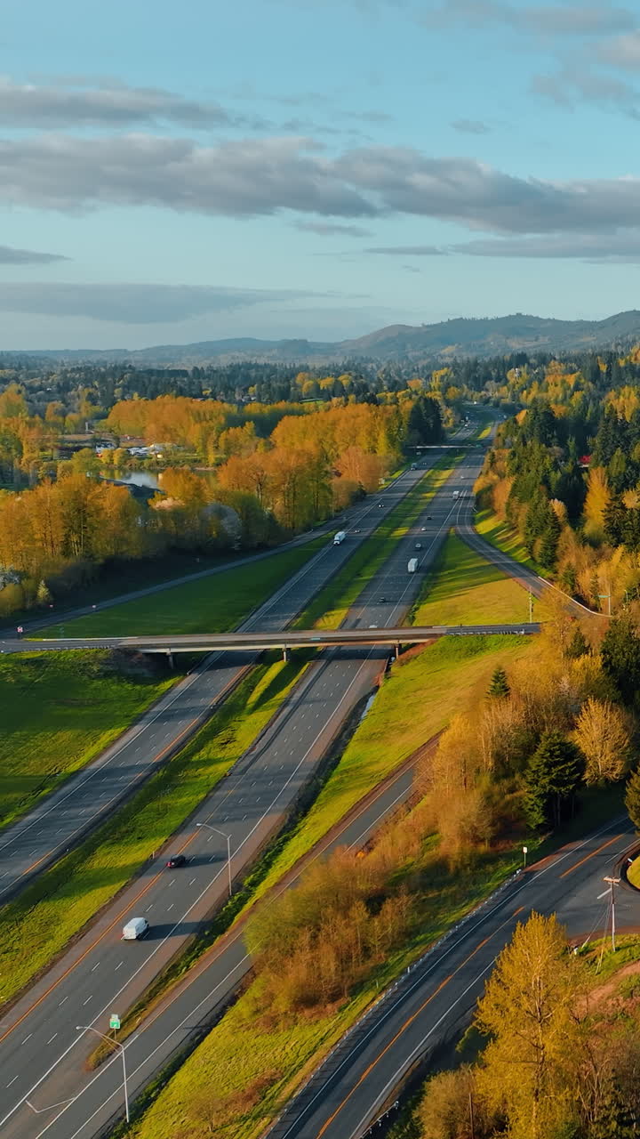 American Oregon state highway aerial view. Mountain summer forest scenery. Vertical video