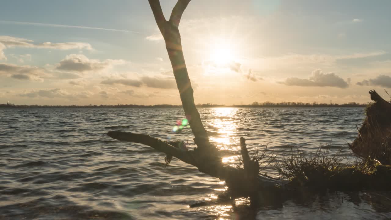Timelapse di onde che si infrangono su un vecchio tronco d'albero sulla spiaggia al tramonto, ripresa con slider.
