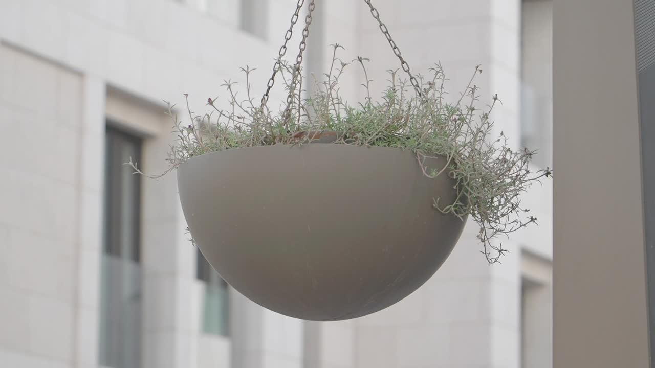 Hanging Planter on a Building
