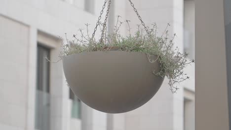hanging planter on a building