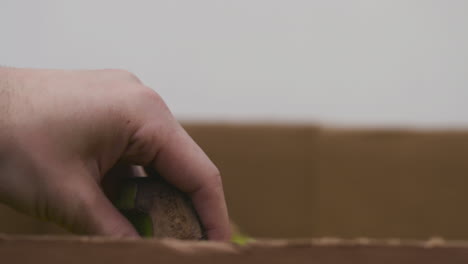 male hand picks up bananas from a cardboard box at a food bank