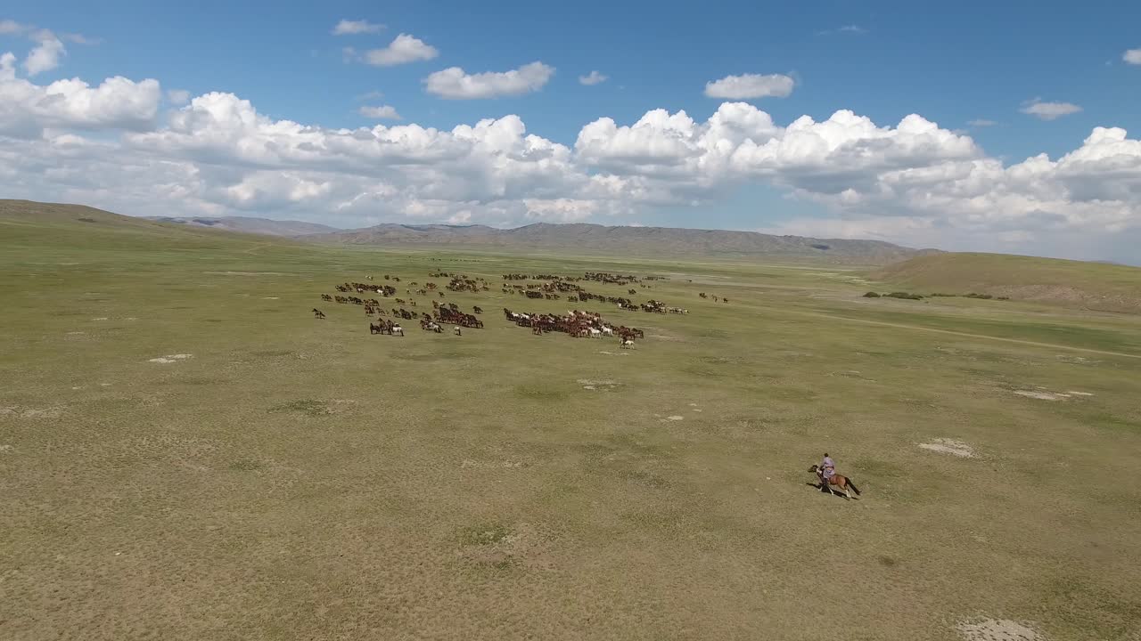 una herda épica de caballos disparada por un avión no tripulado en mongolia en las estepas interminables (raro)