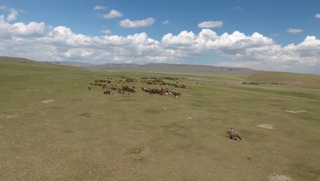 Epische-Pferdeherde,-Die-In-Der-Mongolei-In-Endlosen-Steppen-Von-Einer-Drohne-Erschossen-Wurde-(selten)