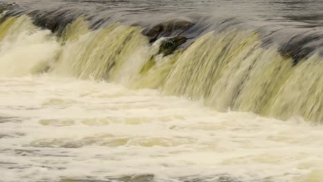 Waterfall-jumps-fish-on-a-spring-day