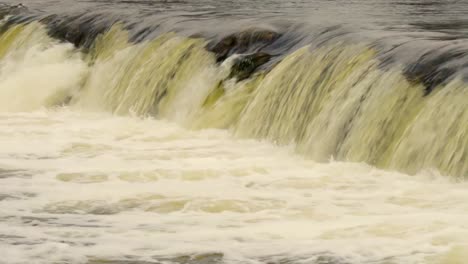 cascada salta peces en un día de primavera