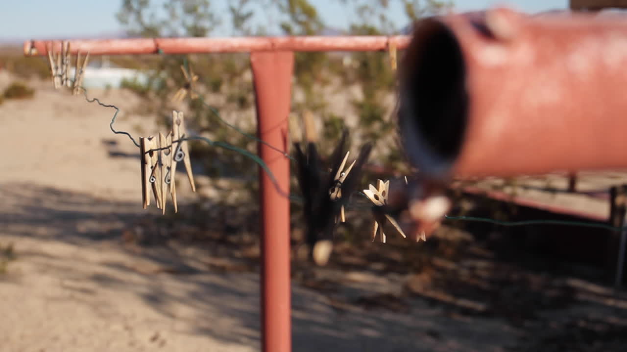 사막 조슈아 트리의 세탁 라인에서 움직이는 옷 핀