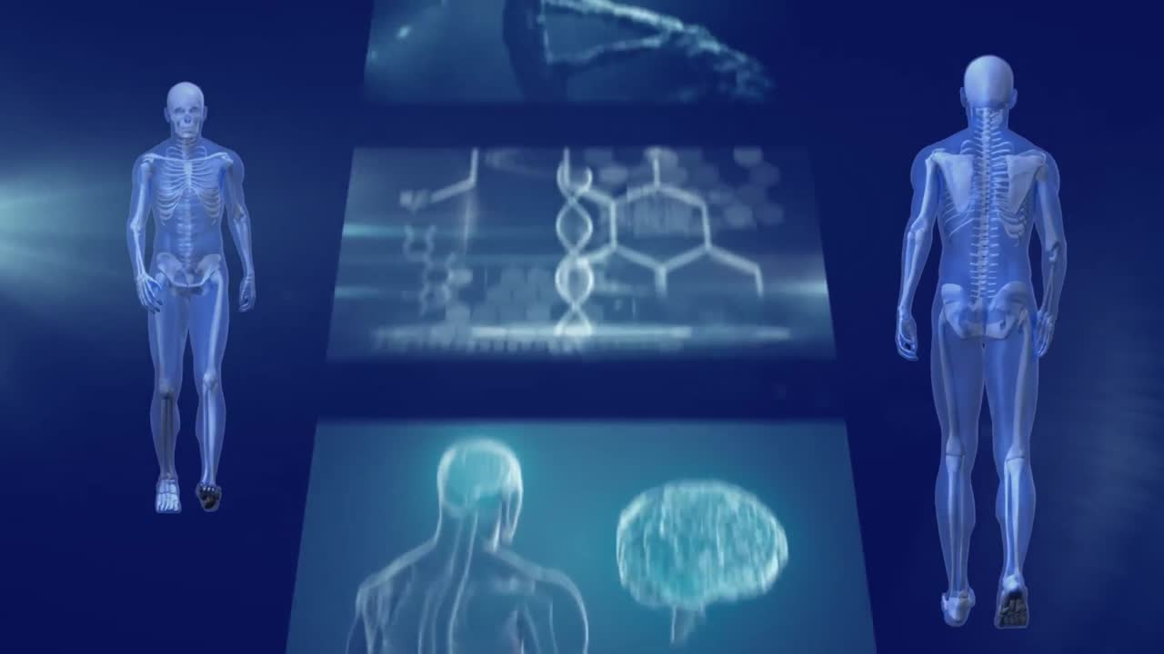 스크롤 과학자 화면과 함께  ⁇ 는 3d 인간의 앞면과 뒷면