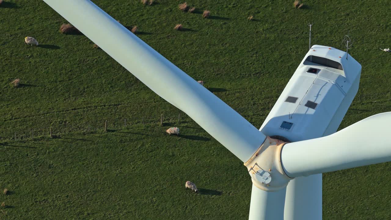 Vista aerea di pale eoliche che ruotano su pascolo verde