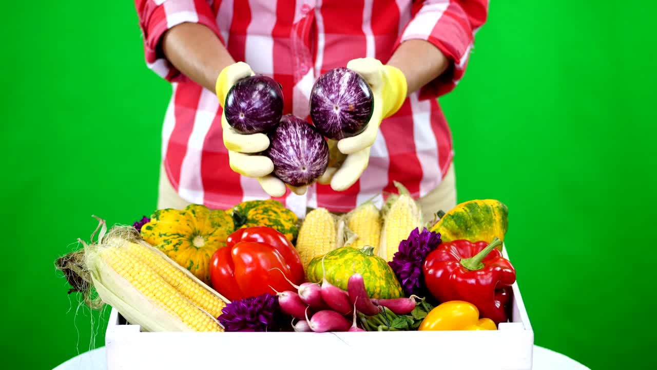 Nahaufnahme: weibliche Hände in Handschuhen halten Gemüse; Aubergine auf Chromakey, grüner Hintergrund und eine Kiste voller verschiedener Gemüsesorten im Studio. Konzept: Erntezählung, Gemüseernte.