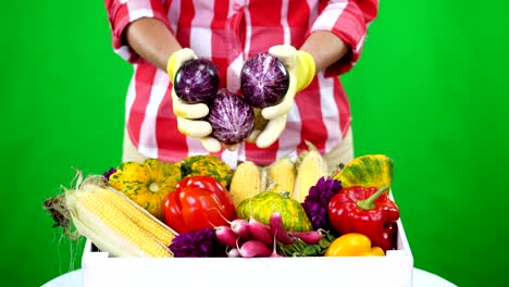 close-up, female hands in gloves, keep vegetables, eggplant on chromakey, green background and a box full of different vegetables, in studio. concept of crop counting, harvest of vegetables