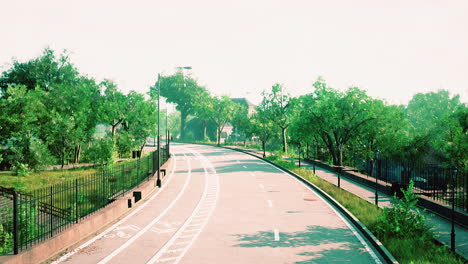 asphalt road and green trees in park