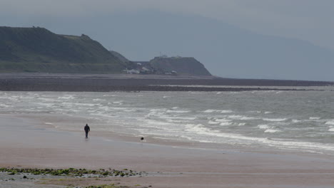 person walking their dog on a beach with cliffs in the background