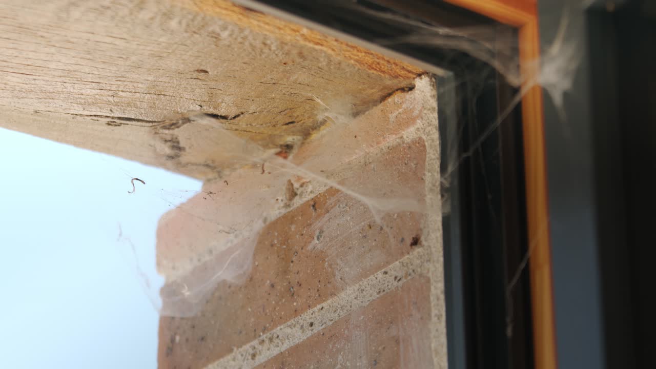 시골의 오래된 창문의 모이에 있는 거미줄