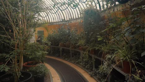 walking through a small path inside botanical gardens