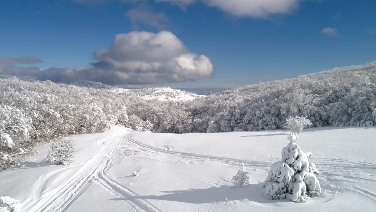 paisaje de bosque de montaña nevado