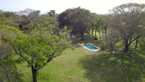 wetlands of northeast argentina shooted with drone