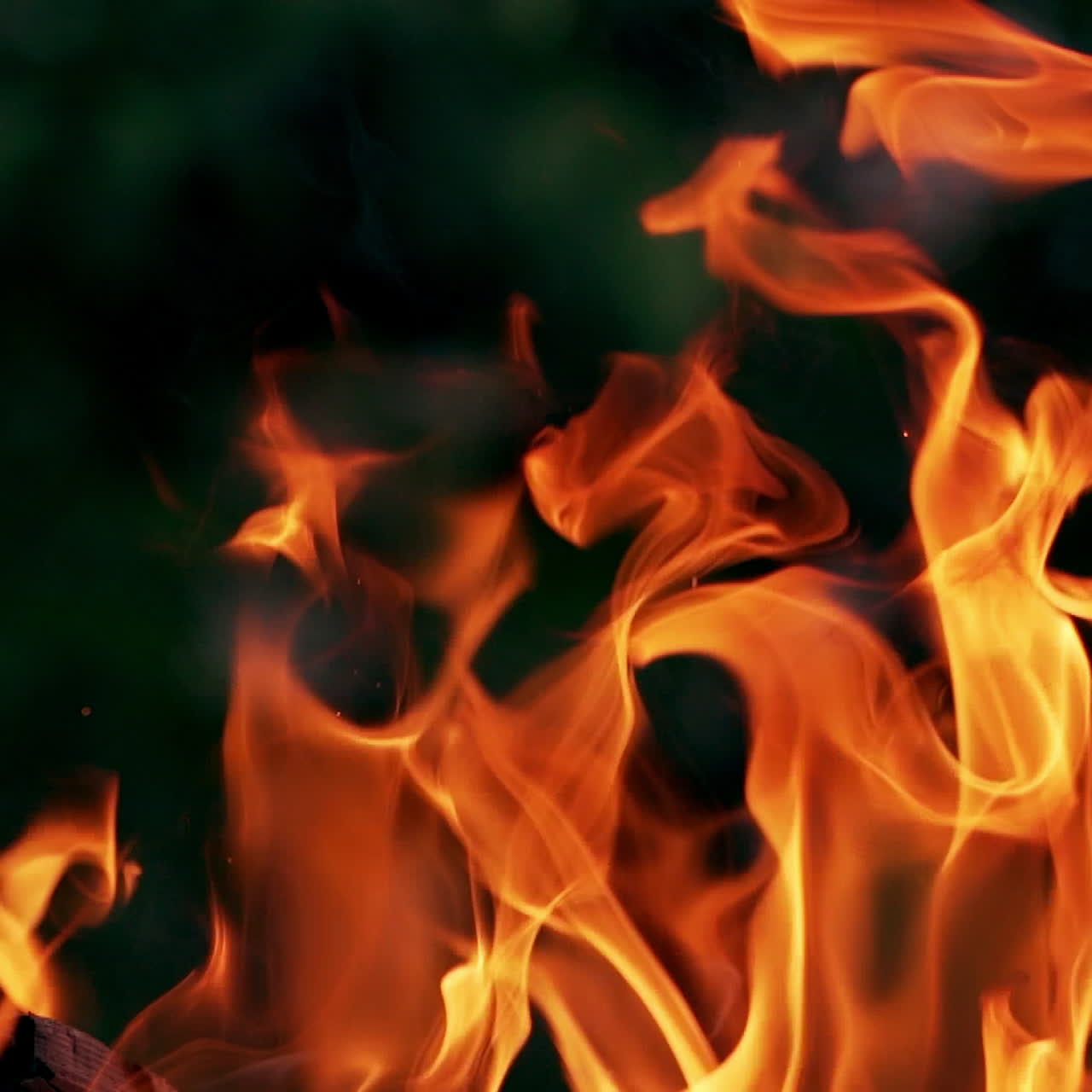 Vivid fire in the night. Orange flames close-up. Background of the fire. Beautiful fire burns brightly. Slow motion.
