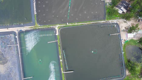 top-down bird's eye view of dry and water-filled shrimp farms