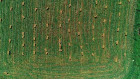 4k top view of rows of bales of hay in the field on summer.