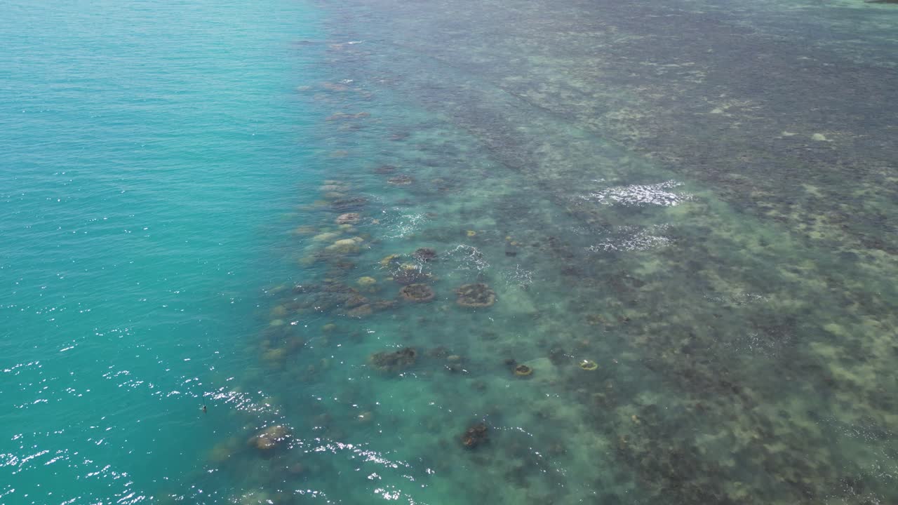 lento drone cinematográfico se inclina sobre el hermoso arrecife de coral a la playa