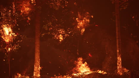 large flames of forest fire at night