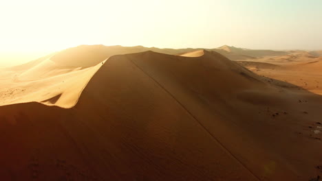 Making-tracks-through-the-desert