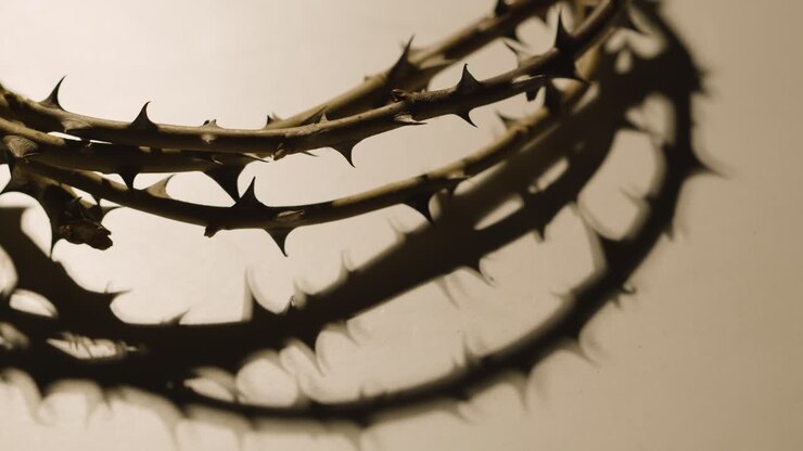 Religious Concept Shot With Close Up Of Crown Of Thorns On Altar In Pool Of Light 3