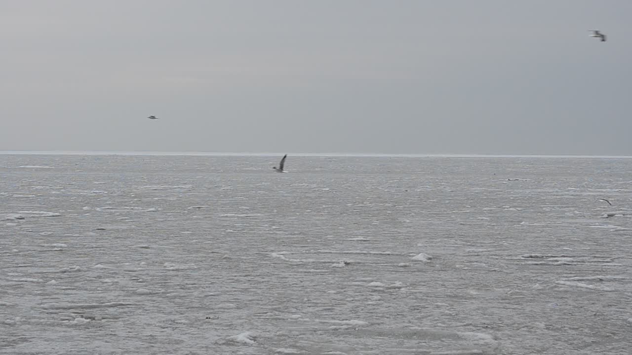 Ghiaccio in mare. Riprese a gennaio