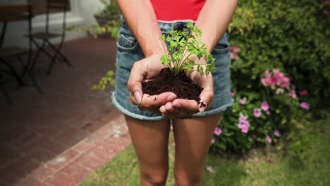 young woman holding small plant in garden, nurturing growth and nature