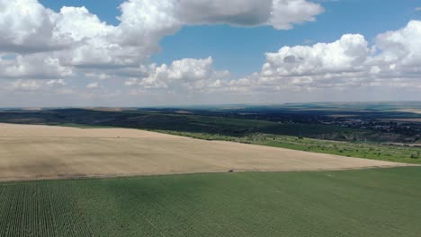 Campo-De-Trigo-Escénico-Y-Cielo-Azul-Nublado-En-Verano---Toma-Aérea-De-Drones