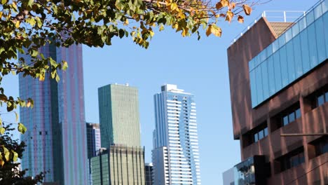 urban skyline with modern buildings and trees