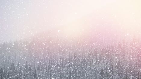nieve cayendo y abetos