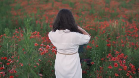 야생 꽃과 은 포피의 배경에 드레스를 입고 걸어가는 긴 머리카락을 가진 아름다운 젊은 어두운 머리카락의 여성의 뒤에서 볼 수 있습니다.