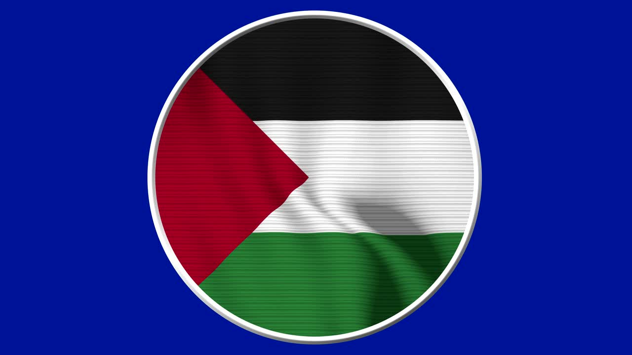 Palestine Circular Flag Loop - Realistic 4K flag waving in the wind