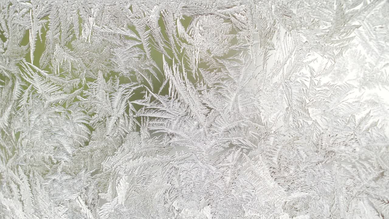 il blocco di ghiaccio pieno di foglie stampate su di esso