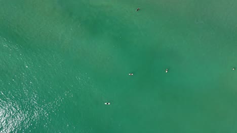 aerial view of surfers and paddle boarders in turquoise ocean