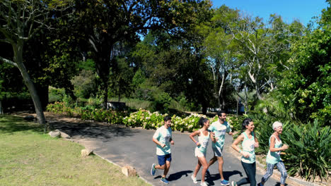 marathon athletes running in the park 4k