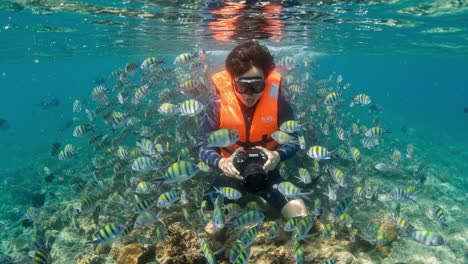 underwater adventure: a diver surrounded by colorful fish capturing stunning ocean life with a camera amidst vibrant coral reefs and marine diversity