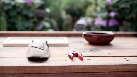 garden tools on wooden table